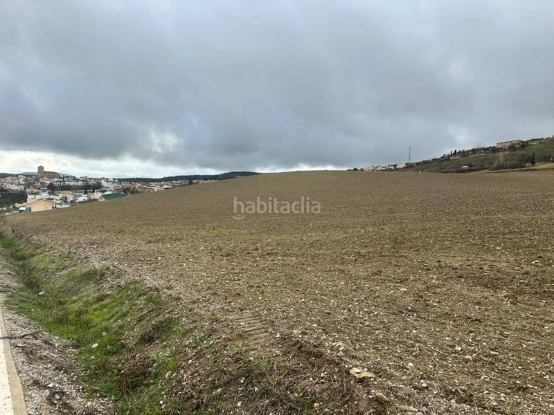 Foto b6107e9d-b708-4598-a702-b081fda6d554. Finca rústica suelo urbanizable en Alhama de Granada