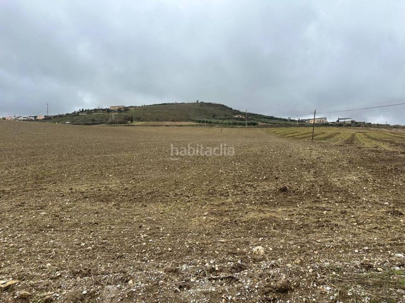 Foto ca457c0f-7e38-43dc-a24a-34670dbec08a. Finca rústica suelo urbanizable en Alhama de Granada