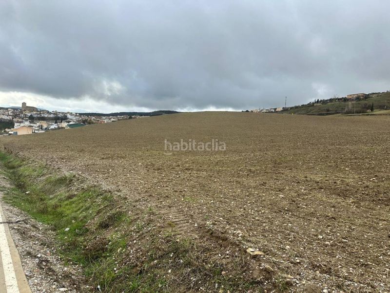 Foto cf7e7997-9d04-4888-8f9f-a3ac93543616. Finca rústica suelo urbanizable en Alhama de Granada
