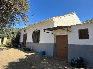 Terreny residencial a Moraleda de Zafayona. Si desea vivir de la ganadería, esta es su oportunidad, no la de