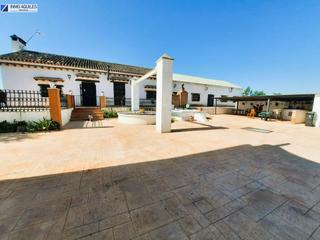 Chalet à Rosaleda - Juventud