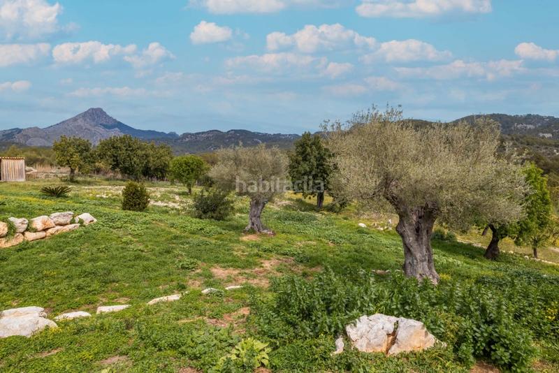 Foto d2e31b23-5799-421c-b749-3c1a9da06e9c. Masia amb calefacció aparcament piscina a Calvià poble Calvià