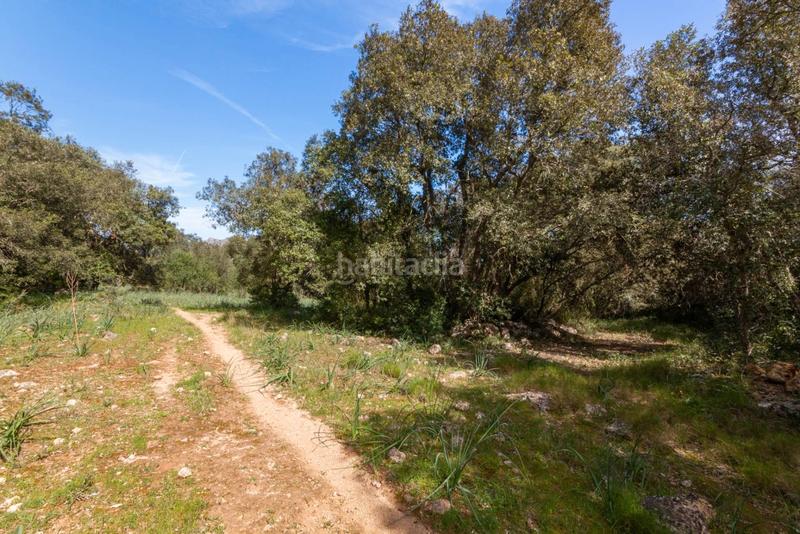 Foto 53fee465-6d48-4fd8-8c4d-236f38b7daa7. Finca rústica a Artà poble Artà