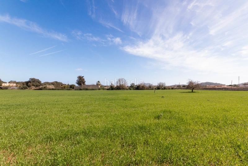 Foto b537ecc4-48a9-49bf-a226-cc54abeafc94. Finca rústica a Artà poble Artà