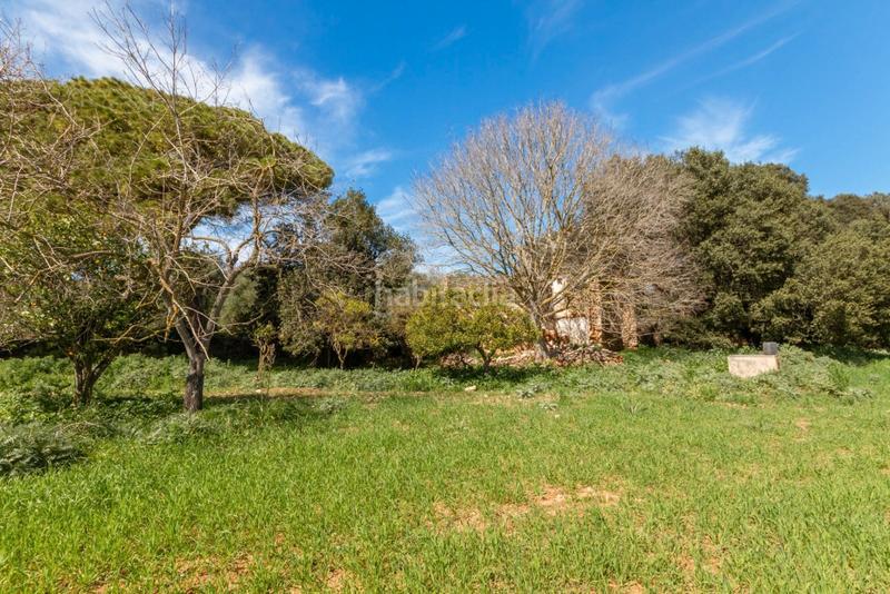 Foto ba359aee-ccee-4755-93f3-f166da7c795c. Finca rústica a Artà poble Artà