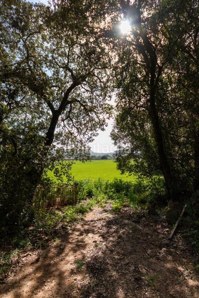 Foto e1ce5a85-c994-4f03-a82e-42d4af77b0dc. Finca rústica a Artà poble Artà