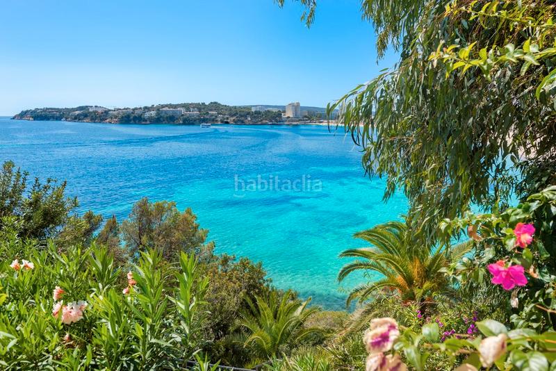 Foto 059dfb14-3da6-4469-bfb7-85657f364c7d. Appartement mit heizung parking pool in Magaluf Calvià