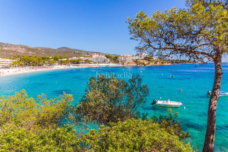 Foto b3afdc12-4e47-4512-85f9-ac44405028e8. Appartement mit heizung parking pool in Magaluf Calvià
