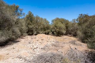 Propriété à Sa Cabaneta. Parcela en venta en sa cabaneta, mallorca