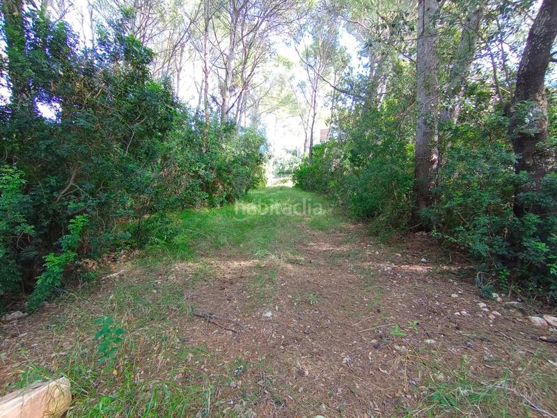 Foto 08c2613f-5872-497f-80f3-0b34fd21e3e4. Propriété dans Pollença poble Pollença