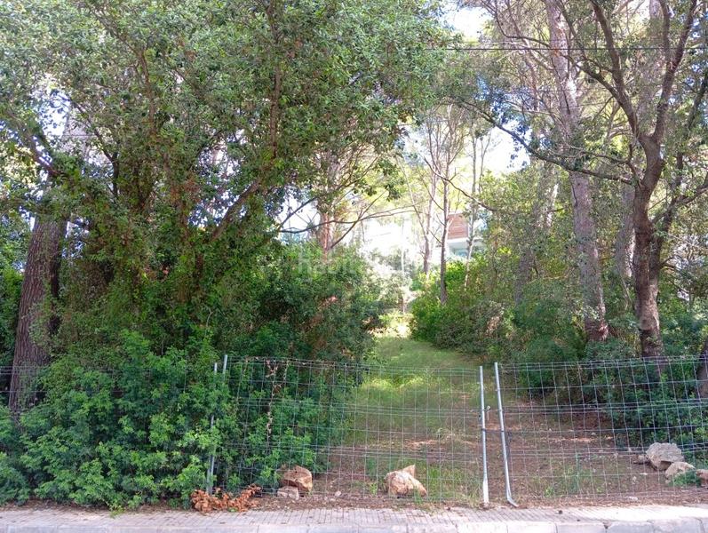 Foto 5b57f249-6142-404a-8d0e-03679f7ab479. Propriété dans Pollença poble Pollença