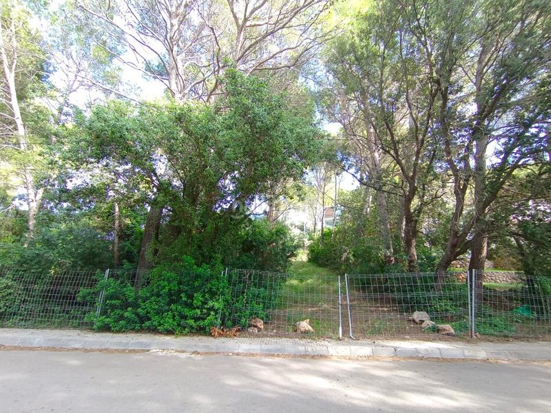 Foto 99c29c62-c7e0-49ff-9bc7-dbb19dcb0467. Propriété dans Pollença poble Pollença