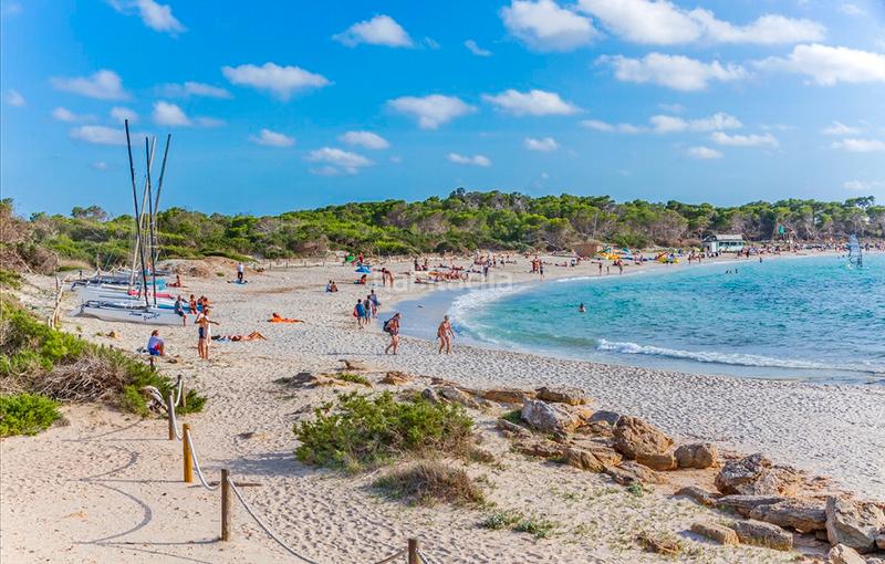 Foto 1f5db23d-e6f9-4d58-ace8-3af14a9cad9d. Fondo rustico in Ses Salines poble Ses Salines
