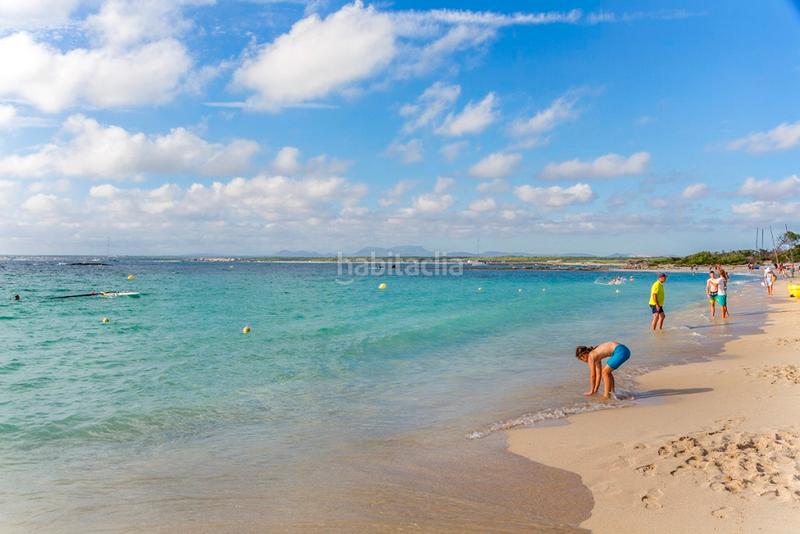 Foto 3d5d5cdf-ced8-4332-affb-5d80dfb5dc0b. Fondo rustico in Ses Salines poble Ses Salines