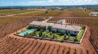 Chalet in Binissalem. Villa rural rodeada de viñedos en venta en binissalem, mallorca