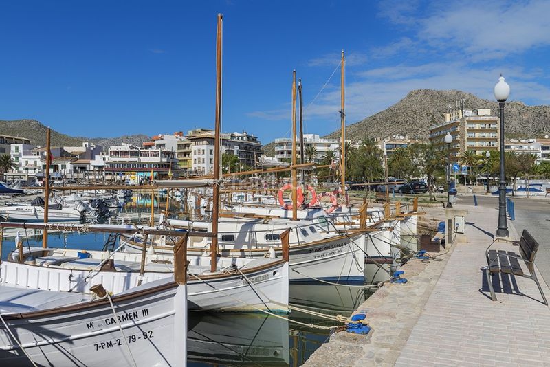 Foto fe52dddf-dd7b-4260-912e-c9dd8b79bc14. Finca rústica a port de Pollença Pollença
