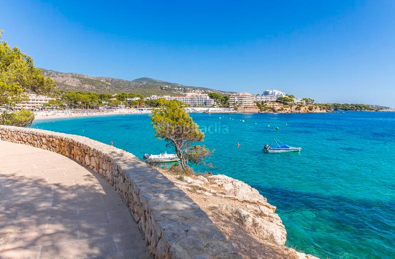 Foto e031bac7-9980-4edc-81da-2b85dfe140cf. Apartamento s de nueva construcción con piscina comunitaria en venta en Palmanova, mallorca en Calvià