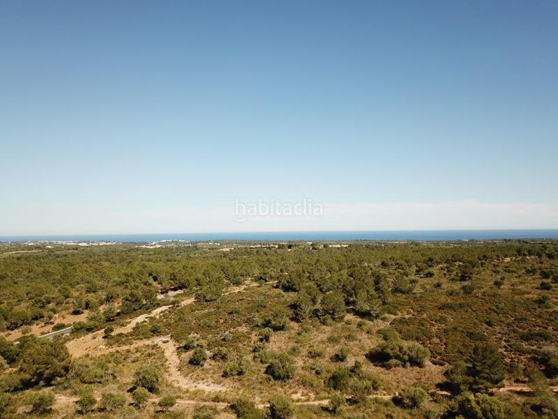 Foto 0e57e972-3de6-4f65-88e5-cdf98ec66907. Finca rústica a Manacor centre Manacor