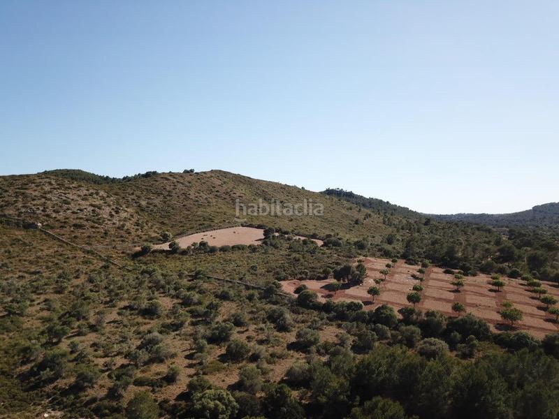 Foto 0e58b090-87f5-446b-a16c-ff8a52f6f861. Finca rústica a Manacor centre Manacor
