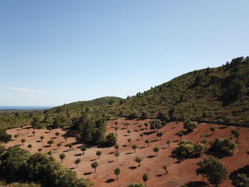 Foto b882f962-2428-4b2d-9dec-71f8b1e82778. Finca rústica a Manacor centre Manacor