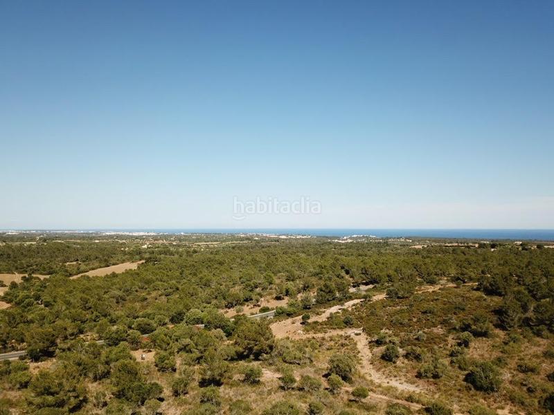 Foto bf694442-8e6f-4b19-bffa-ba188d29db11. Finca rústica a Manacor centre Manacor