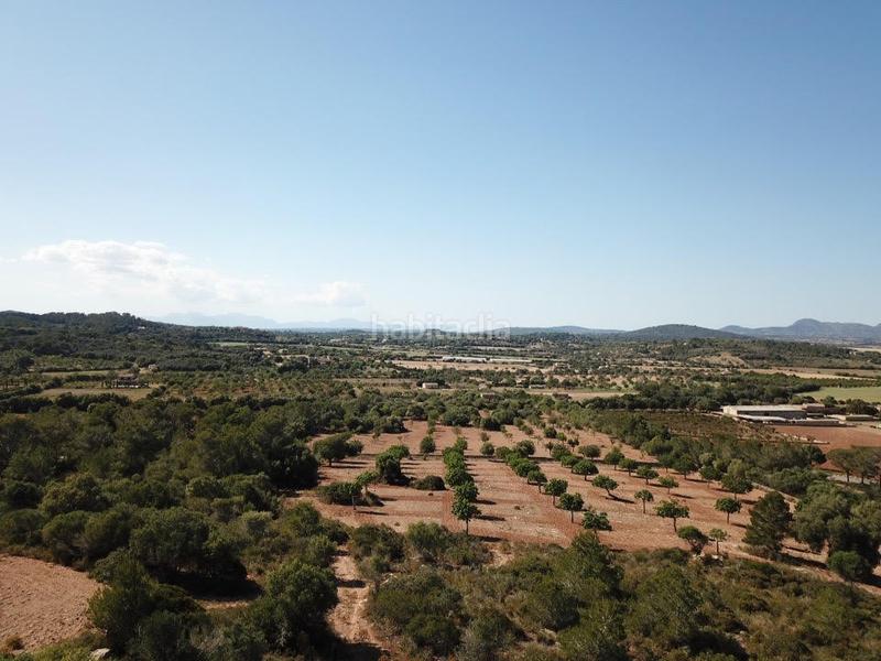 Foto c4d3aba2-a6c3-4be5-a4c8-44914316b1a5. Finca rústica a Manacor centre Manacor