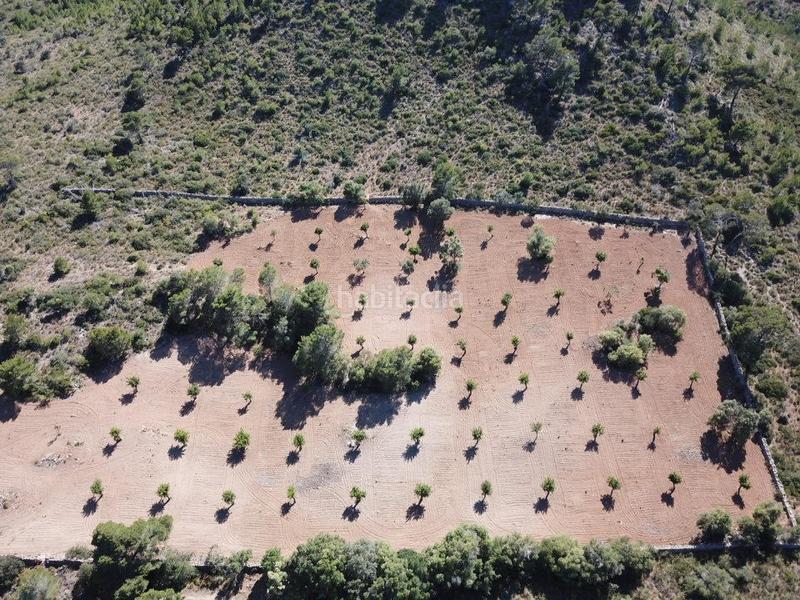 Foto fa54a943-de34-4886-a1c8-b23f637a2d82. Finca rústica a Manacor centre Manacor