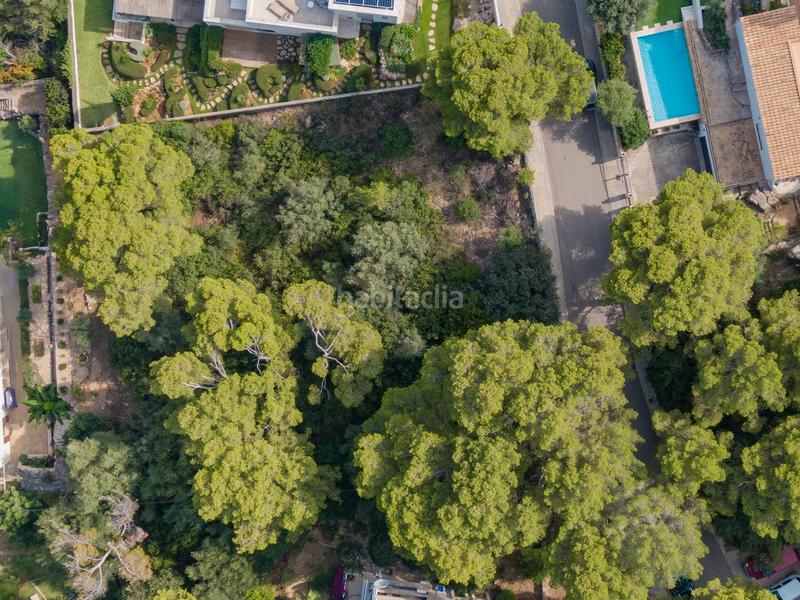 Foto ac2f5a74-38e9-417a-88e1-a6624e3524d0. Finca rústica a Pollença poble Pollença