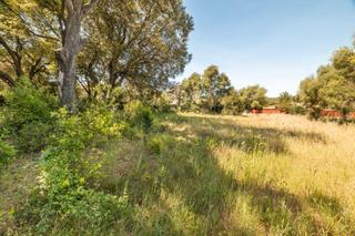 Rural plot in Bacarés-Manresa-Bonaire. Parcela residencial edificable en venta cerca de pollensa, mallo