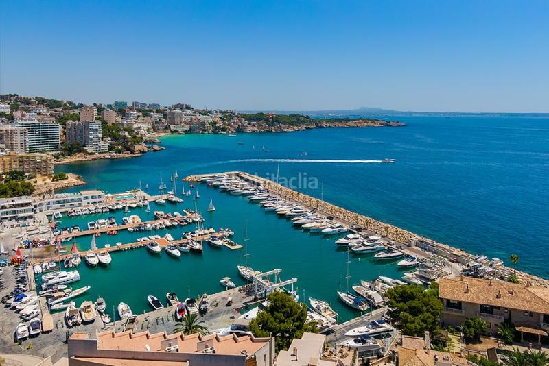 Foto 3efdde79-de4a-48b0-aad8-d106f3a7d4cd. Finca rústica solar con proyecto básico y licencia para villa familiar moderna en venta en cas catala, mallorca en Calvià