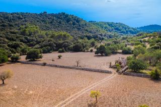 Rural plot in Pollença Poble. Enorme parcela de campo en venta en pollensa, mallorca