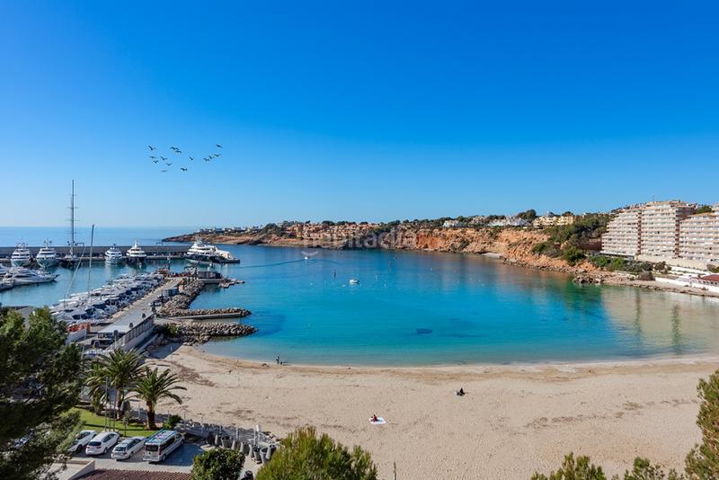 Foto b14335a6-5ecc-4401-9669-a87f16e724ce. Chalet con riscaldamento parcheggio piscina in Santa Ponça Calvià