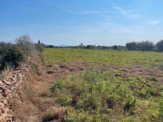Rural plot in Zona Periurbana. Parcela de campo con fantástico proyecto de chalet en venta en b