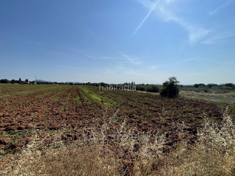 Foto edd9fe21-8533-44c1-b1fd-6bebad18b276. Finca rústica a Búger