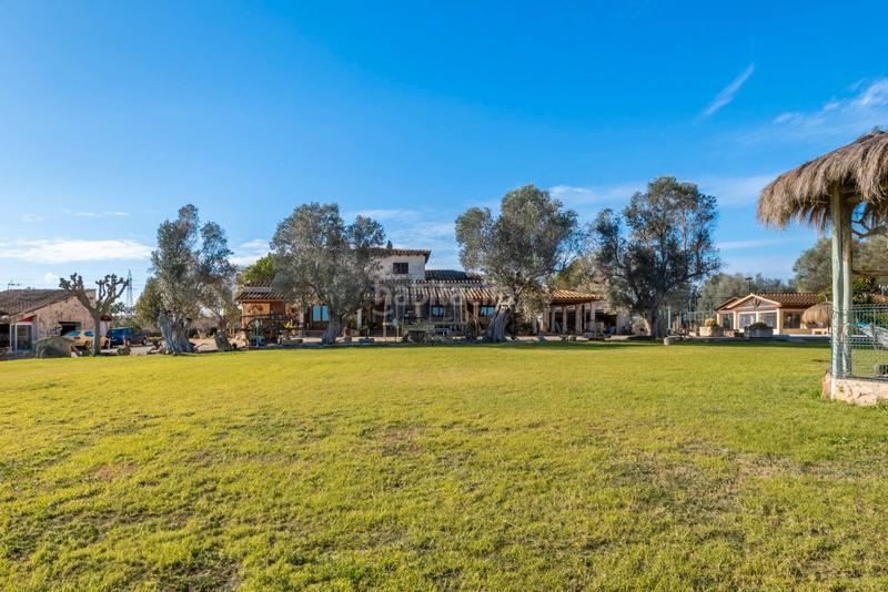 Foto 524588f0-5737-4002-96b4-a759f3de2cbf. Masia amb calefacció aparcament piscina a Santa Margalida poble Santa Margalida