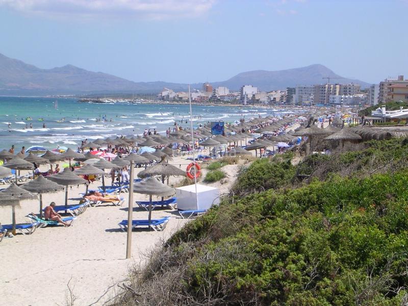 Foto 5ca46182-65d0-4bd4-90af-fada4d2485e8. Masia amb calefacció aparcament piscina a Santa Margalida poble Santa Margalida