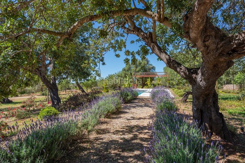 Foto ad8109f8-84bd-4d73-9a20-6d5ee94d85cc. Masia amb calefacció aparcament piscina a Alaró