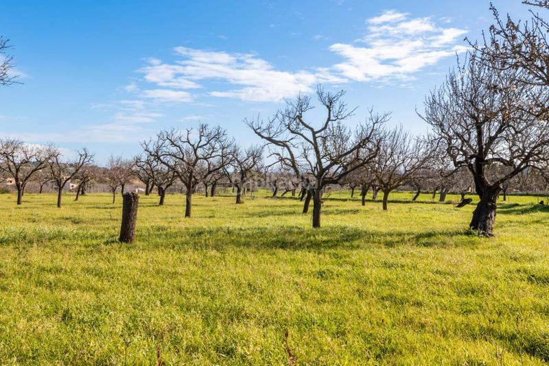 Foto 8aeac4e6-1cb2-4ab8-9410-75c445d09f0e. Bauernhof mit parking in Santa Coloma de Farners