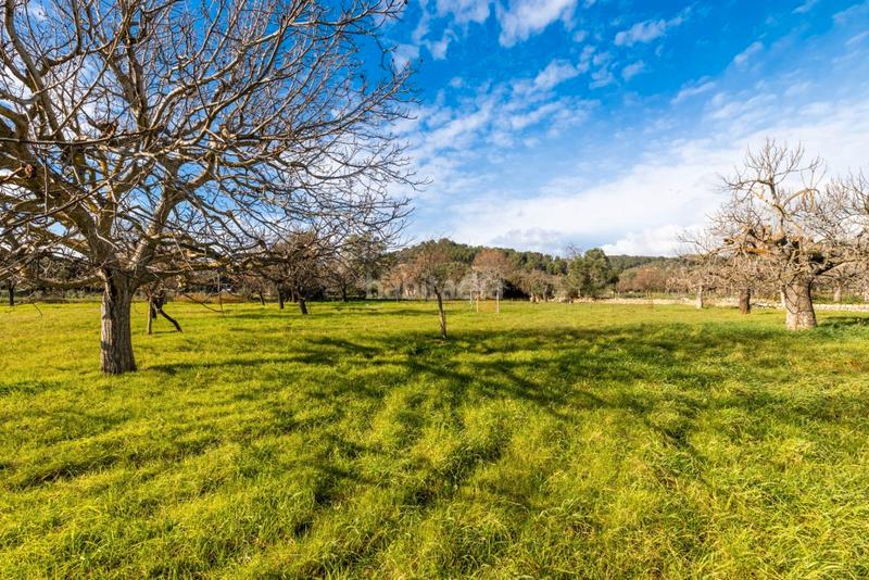 Foto a3315dcb-2bb9-46d5-91cb-84f3e400e4cc. Bauernhof mit parking in Santa Coloma de Farners