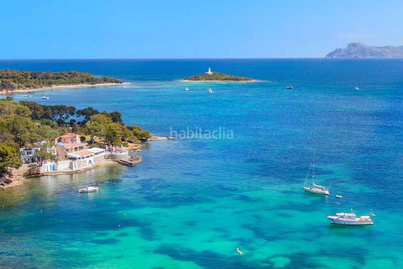 Foto 29e0a700-b381-4c55-83d0-dad3a700f37b. Finca rústica a port d´Alcúdia-platja dálcúdia Alcúdia