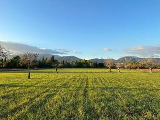 Finca rústica a Selva. Parcela rústica con un proyecto de villa pendiente en venta en s