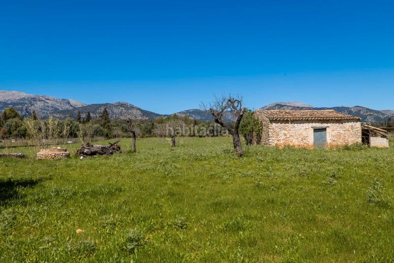 Foto 595fa42f-6eb2-459d-a608-b7e1aca05412. Propriété dans Selva