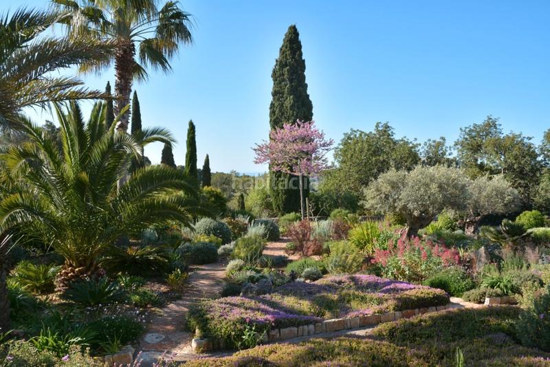 Foto 08450f4b-19e7-4b8a-8a09-68e0a561b16a. Bauernhof mit heizung pool in Felanitx poble Felanitx