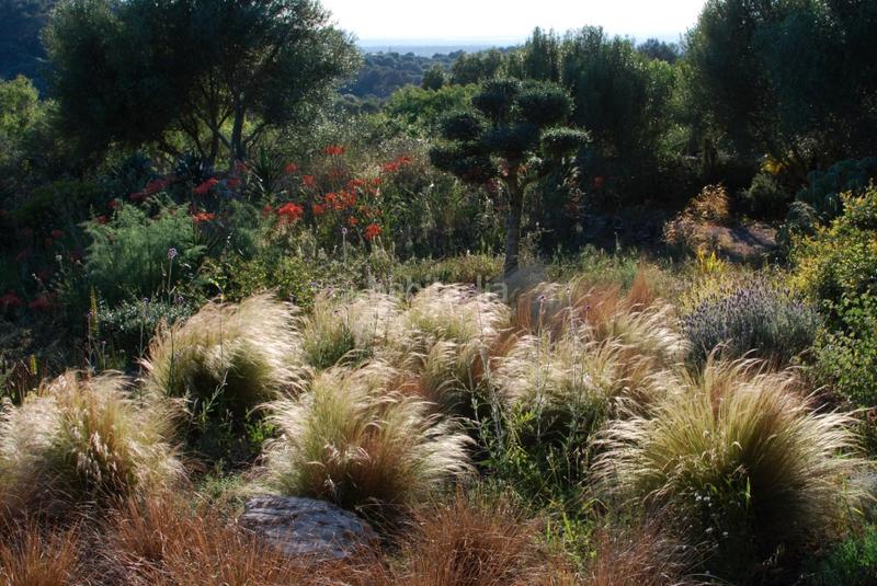 Foto e18368d4-7eab-497f-a644-19ce0ffd4f8d. Bauernhof mit heizung pool in Felanitx poble Felanitx