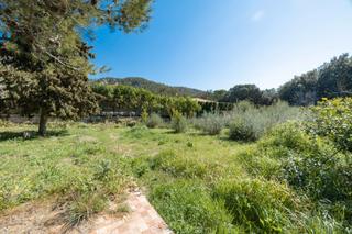 Rural plot in Port de Pollença. Solar residencial con proyecto y licencia en venta cerca de poll