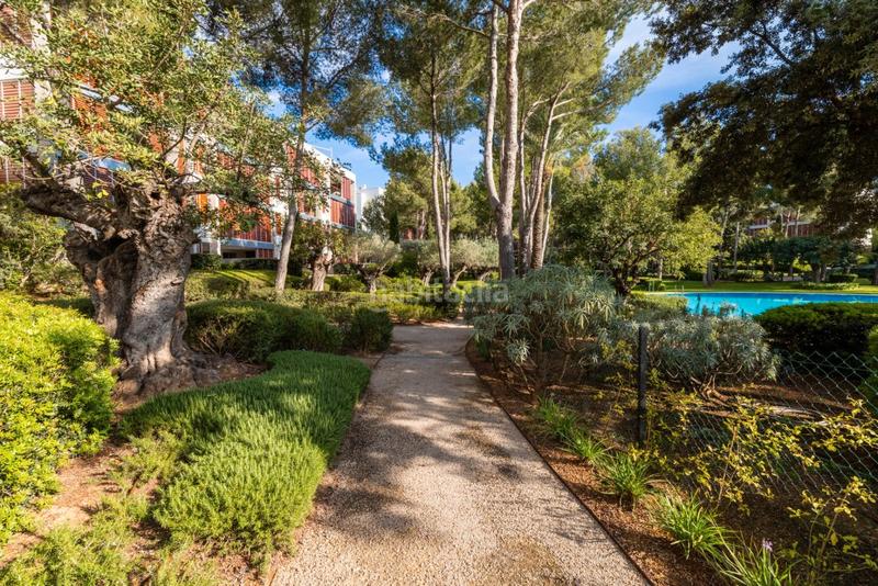 Foto 73d46fef-c8b6-4809-b49b-576be5b101da. Apartamento elegante ático en venta en bendinat, suroeste de mallorca en Calvià