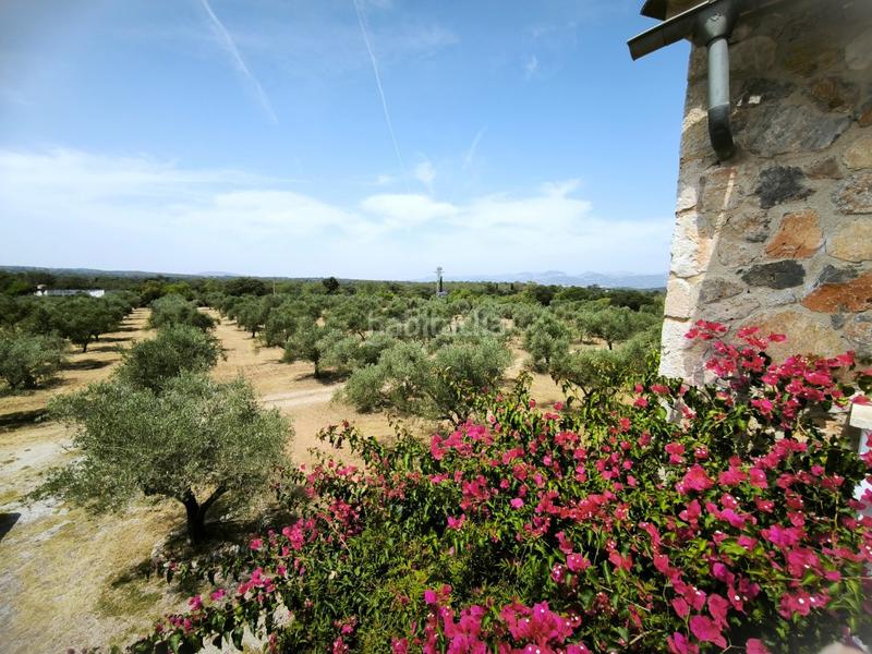 Foto 50648d65-5fcd-4578-9d13-ea7375356898. Masia amb piscina a Llubí