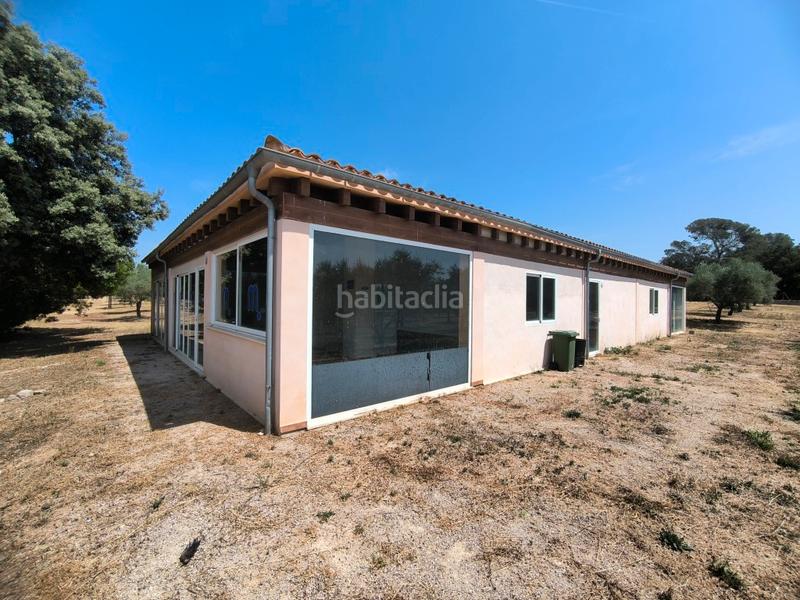 Foto 5ddb0de0-44c7-4548-88d1-cd5e502a0da9. Masia amb piscina a Llubí