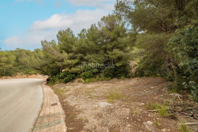 Foto ba39e398-90e1-4236-b1c0-787c243c6a67. Fondo rustico in Capdepera poble Capdepera
