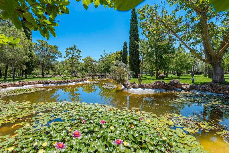 Foto ea50ed8b-021b-47c8-8160-4036b5293483. Masía magnífica casa de campo con piscinas y spa en venta cerca , mallorca en Binissalem